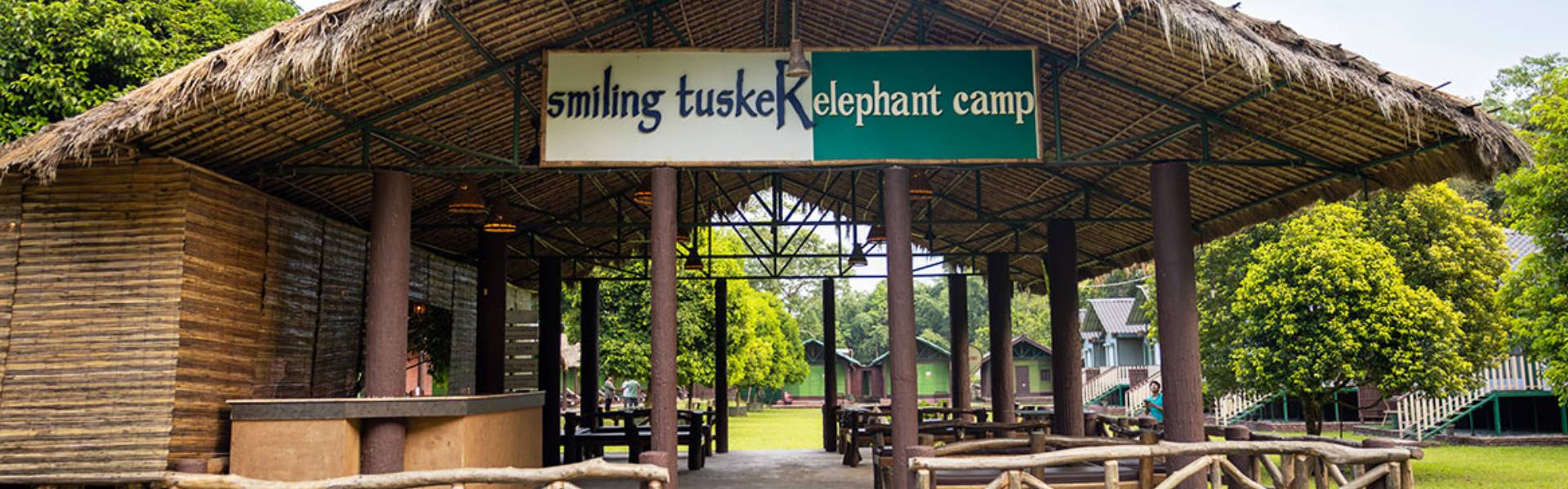 Smiling Tusker