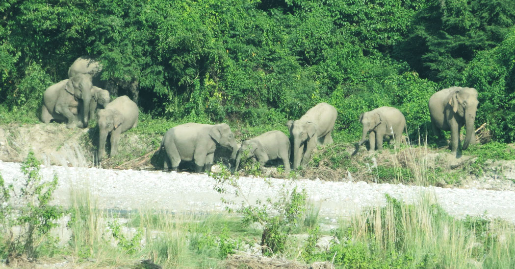 Raimona National Park