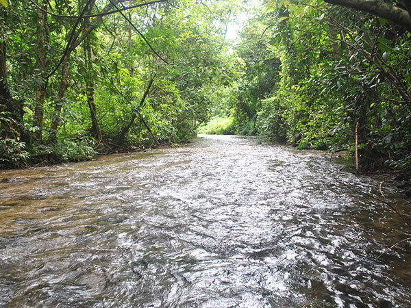 Kokrajhar