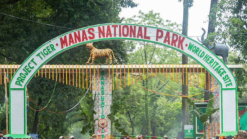 Manas National Park