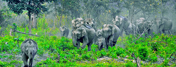 Enchanting Manas