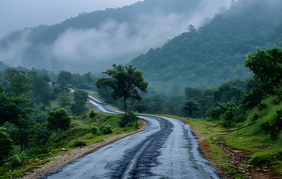 Travel by Road